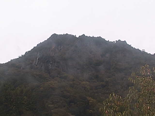 Position 1
